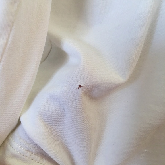 Peruvian Connection Women's Pima Cotton White Scoop Neck Graphic T Shirt XL - Picture 4 of 8